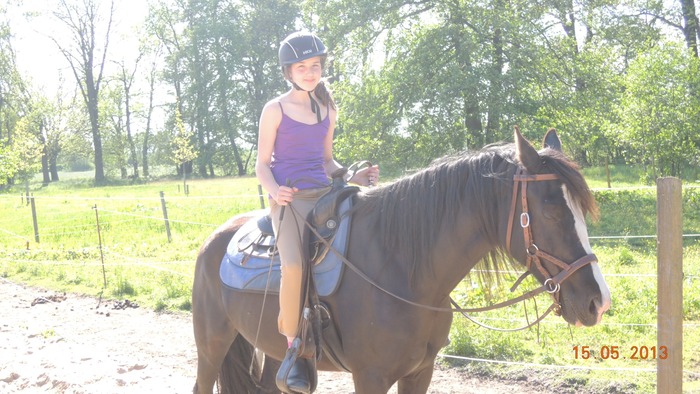Reiten Und Reittherapie